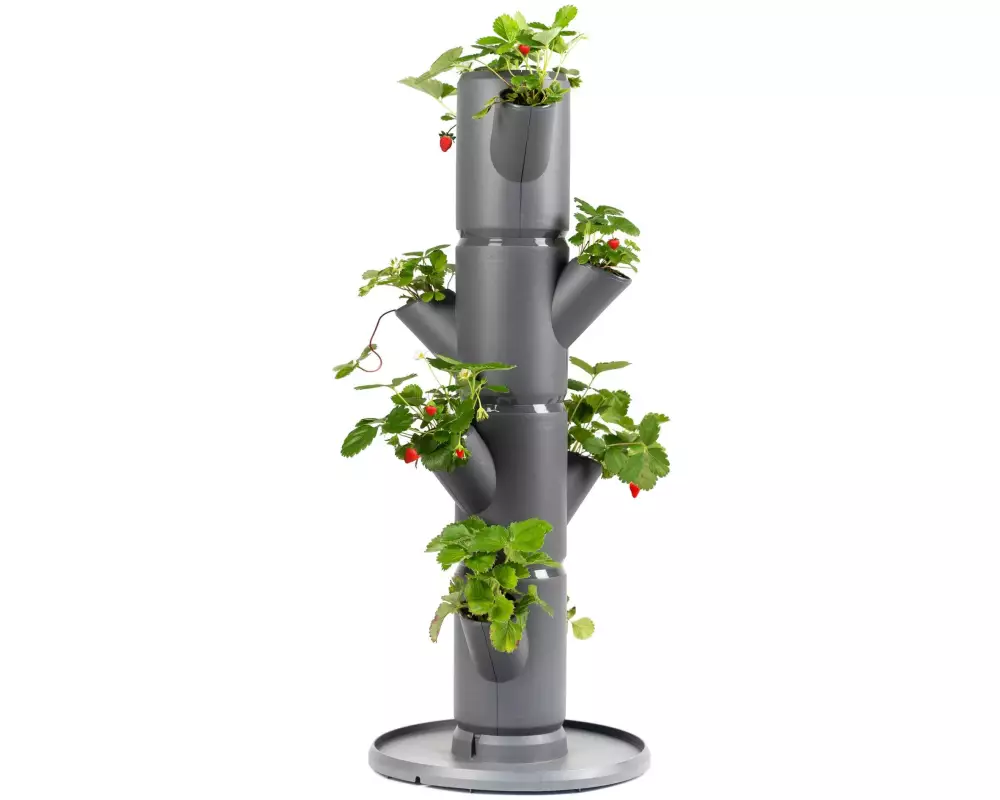 Gusta Garden Aufzuchttöpfe SISSI STRAWBERRY Starterset, Anthrazit