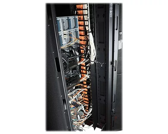 NetShelter SX Vertical Cable Manager 2x