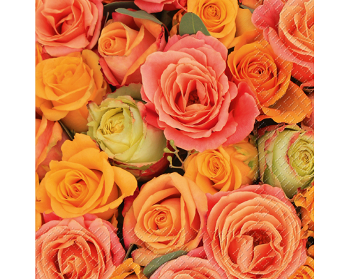 STEWO Servietten Rosso 33x33cm 2572638115 orange 20 Stück