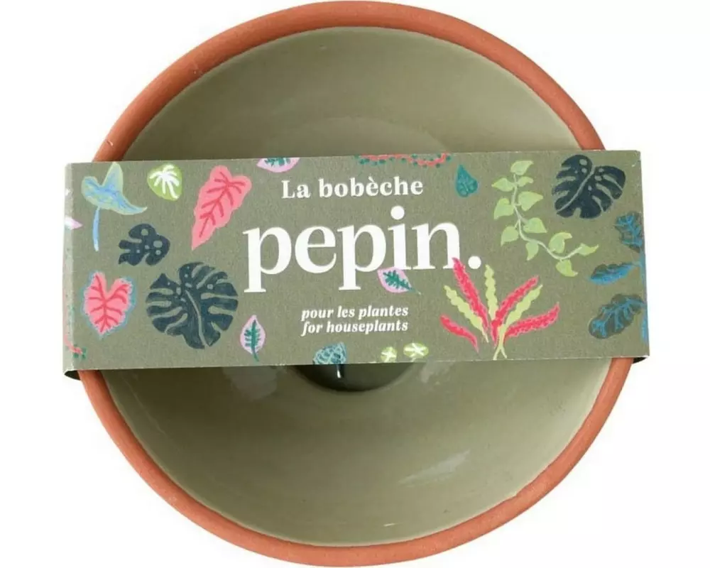 pepin Keimschale Keimschale Salbeigrün