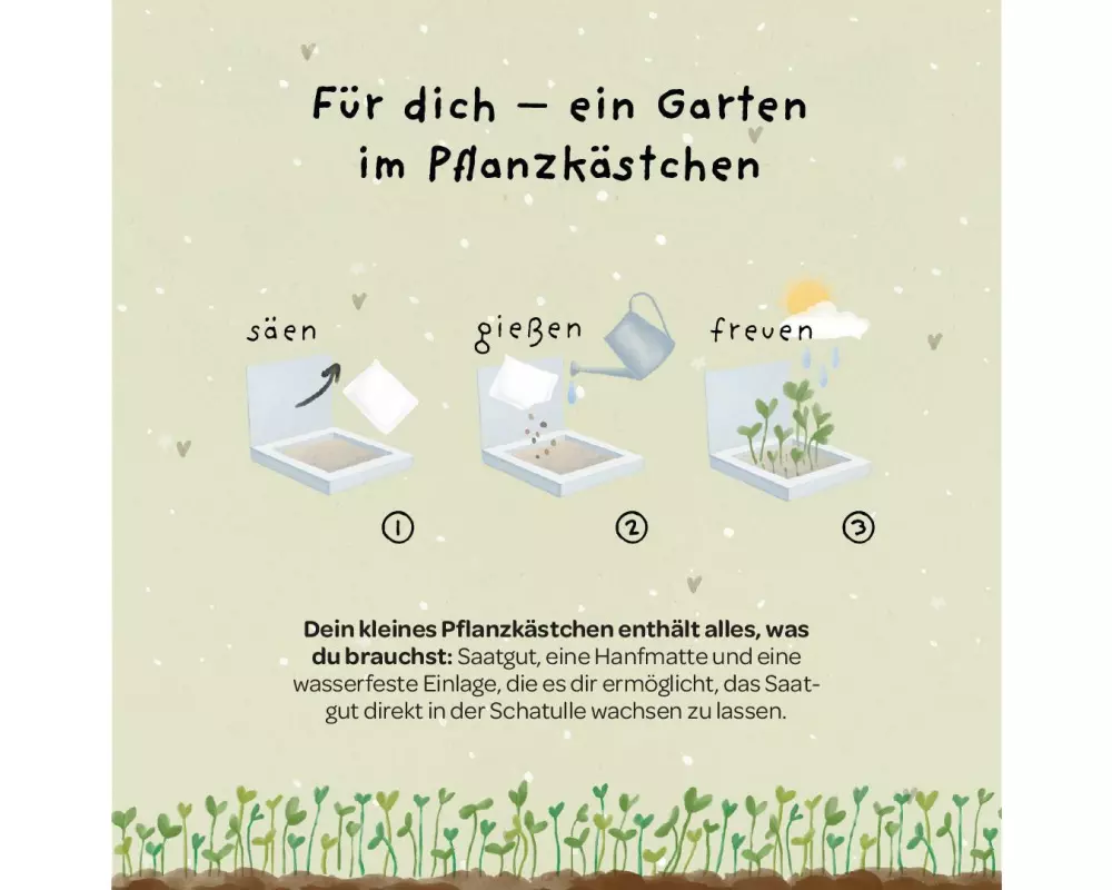 Die Stadtgärtner Pflanzenkästchen «Viel Erfolg du Glückskind»