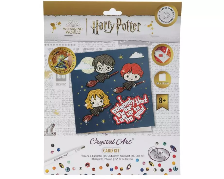 CRAFT Buddy Bastelset Crystal Art Card Flying High