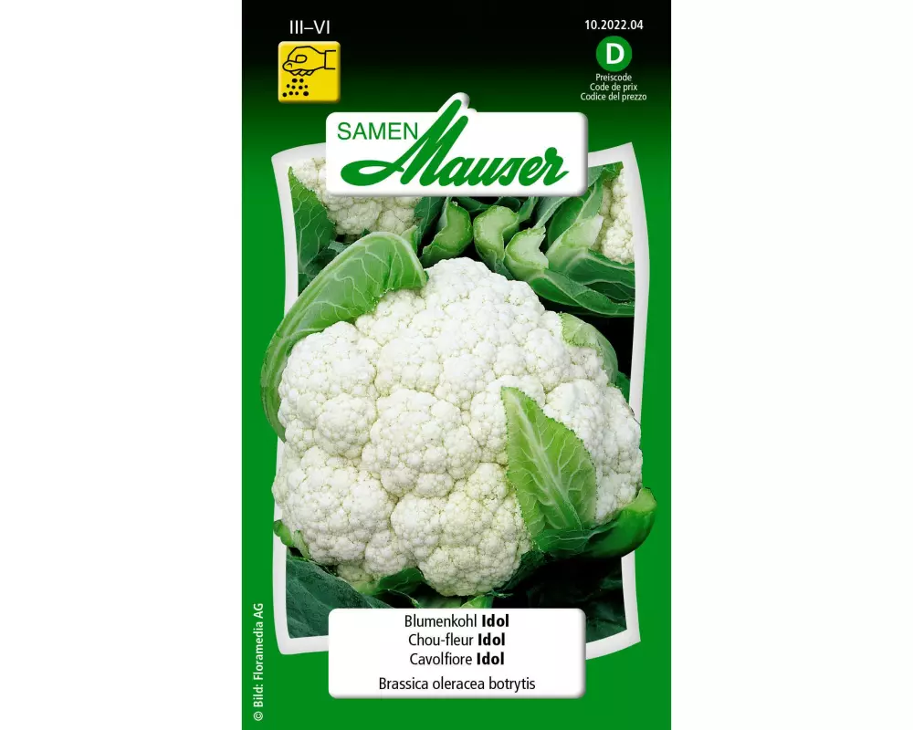 Samen Mauser Samen Blumenkohl Idol