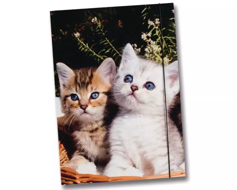 Folia Gummibandmappe A3 Katzen