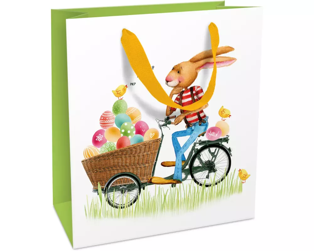 Braun + Company Geschenktasche Eiertrasnport 18 x 21 x 8 cm