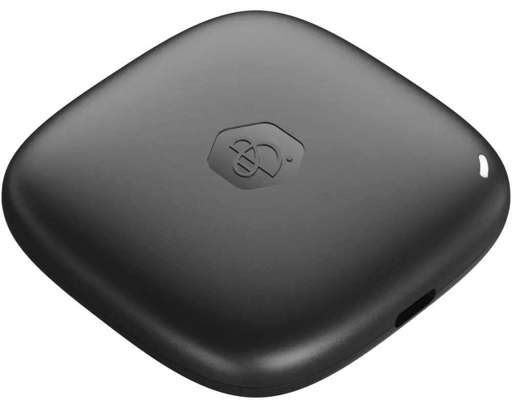 Synology Externe SSD BeeDrive 1000 GB