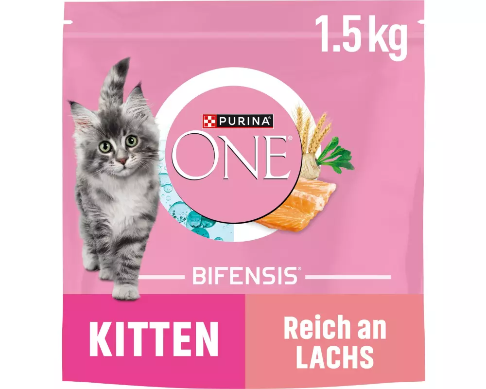 Purina ONE Trockenfutter Junior Lachs 1.5 kg