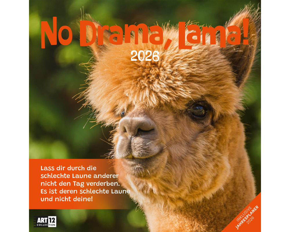 ACKERMANN Bildkalender 2026 4627 No Drama, Lama ML 30x30cm