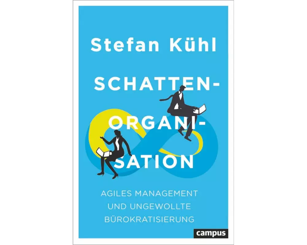 Schattenorganisation