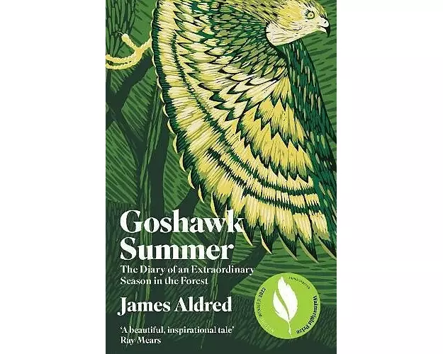 Goshawk Summer