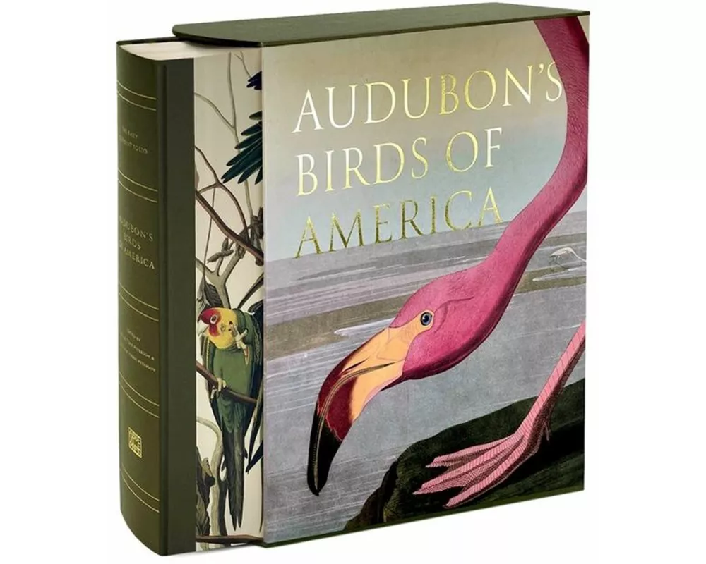 Audubon’s Birds of America