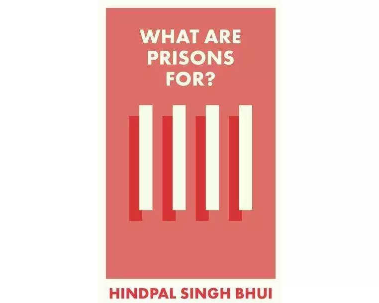 What Are Prisons For?