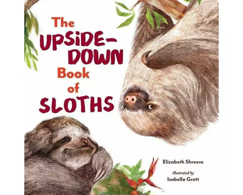 The Upside-Down Book of Sloths