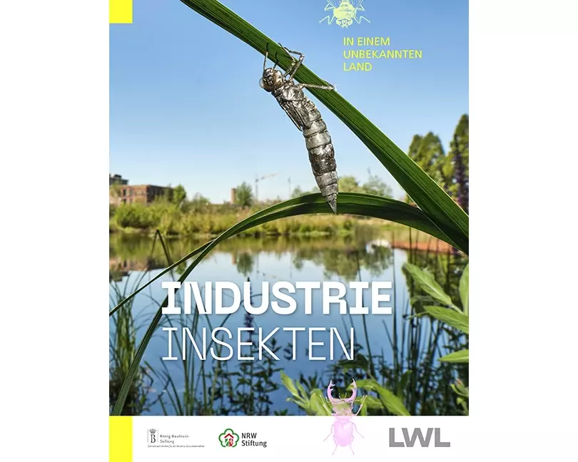 IndustrieInsekten