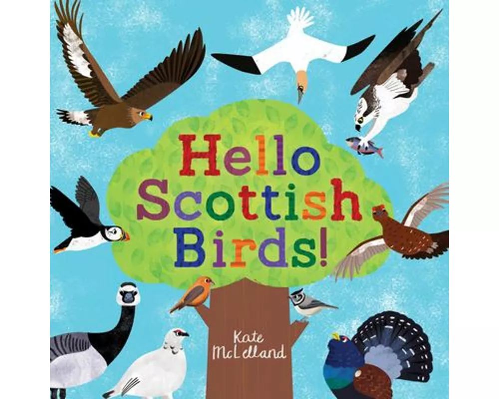 Hello Scottish Birds