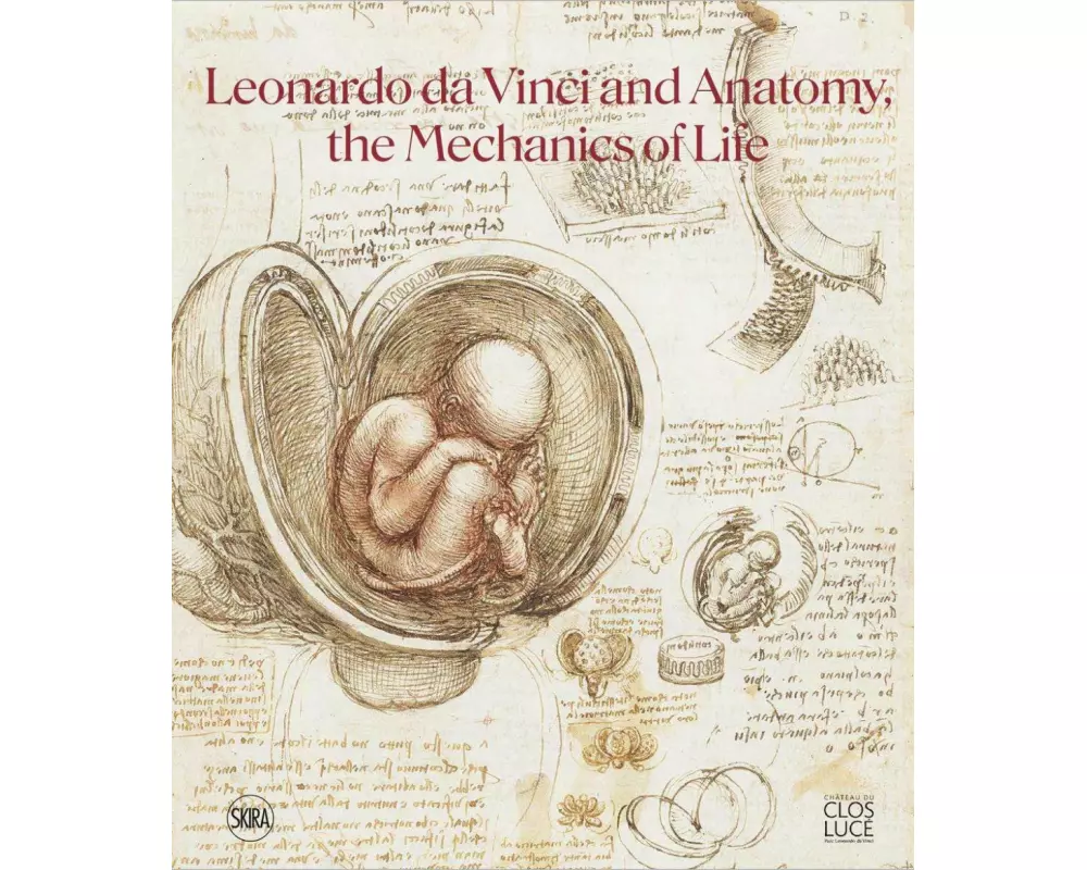 Leonardo da Vinci and Anatomy