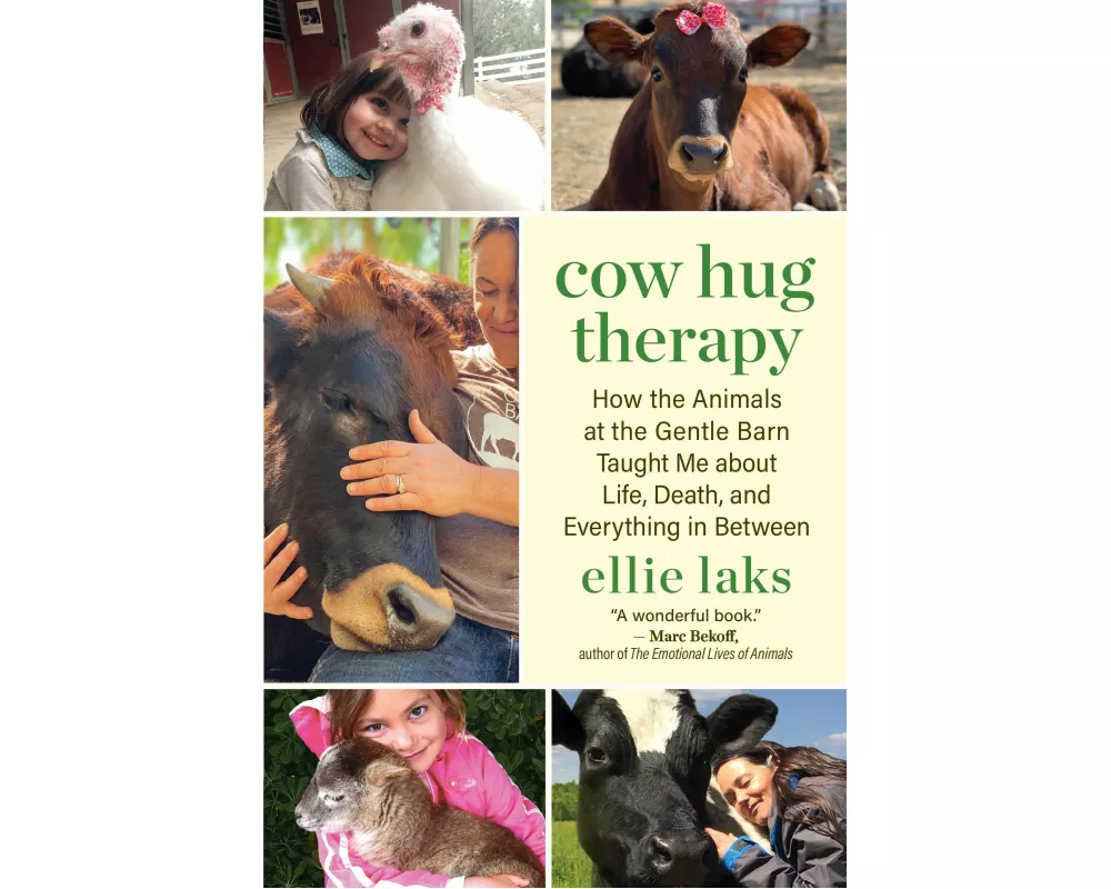 Cow Hug Therapy