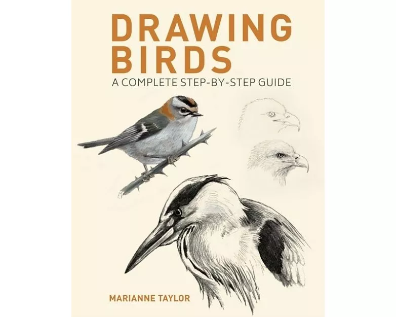 Drawing Birds