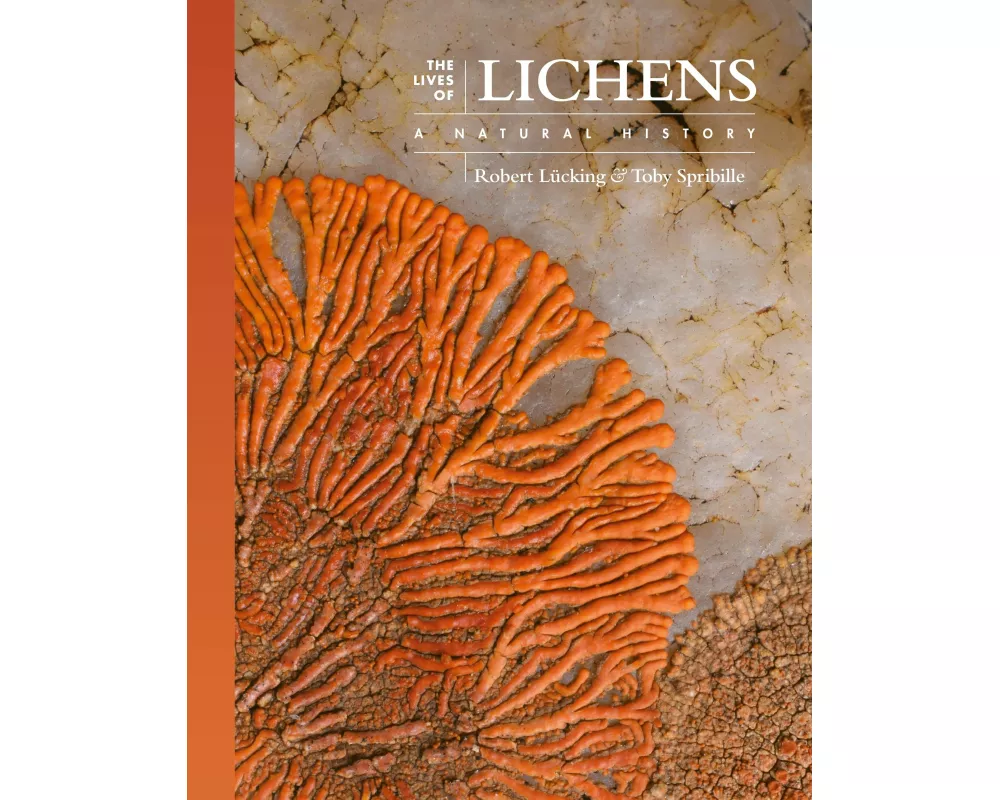 The Lives of Lichens