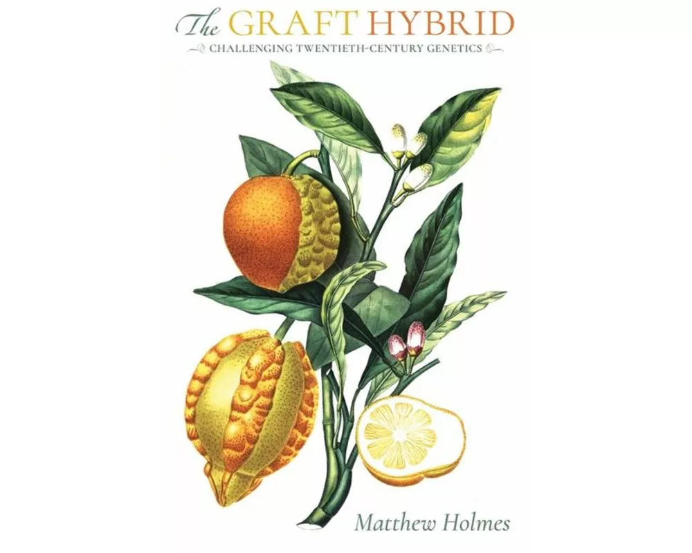 The Graft Hybrid