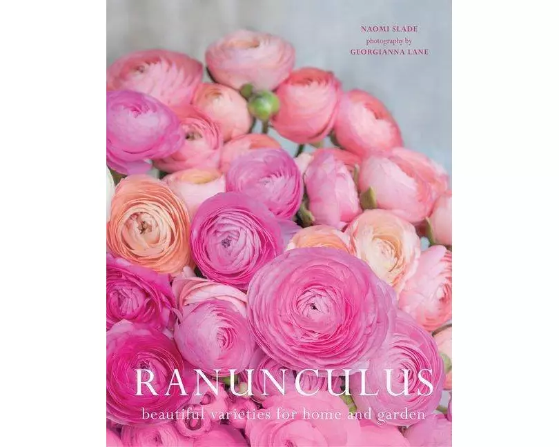 Ranunculus