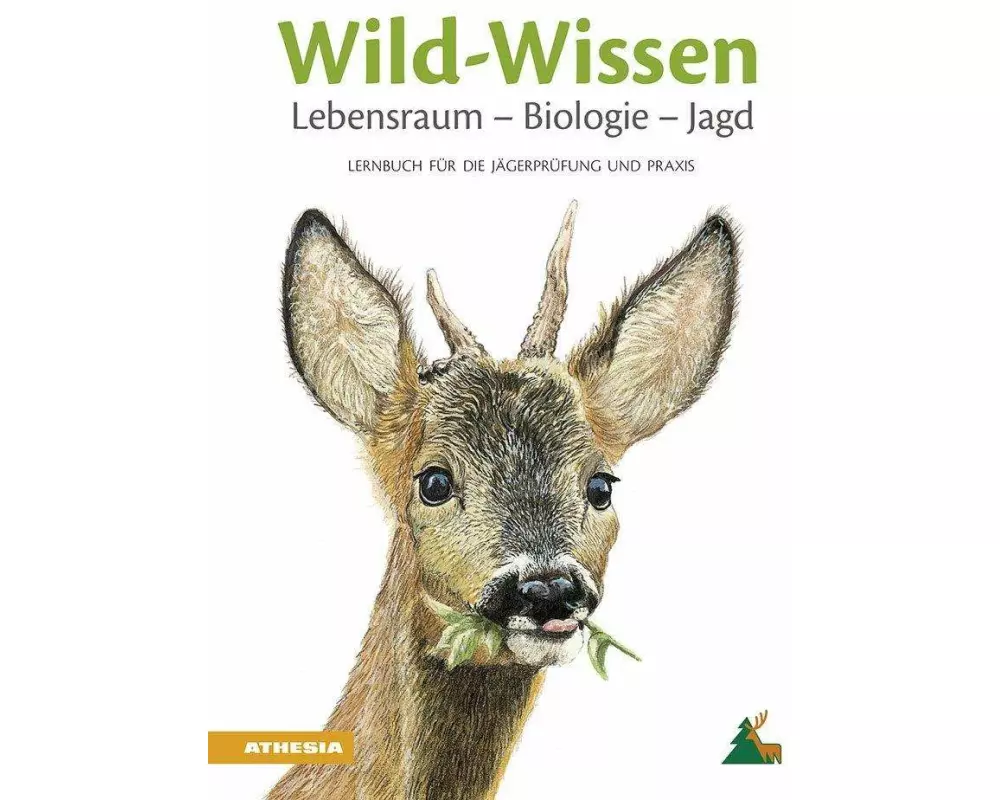 Wild-Wissen Lebensraum - Biologie - Jagd