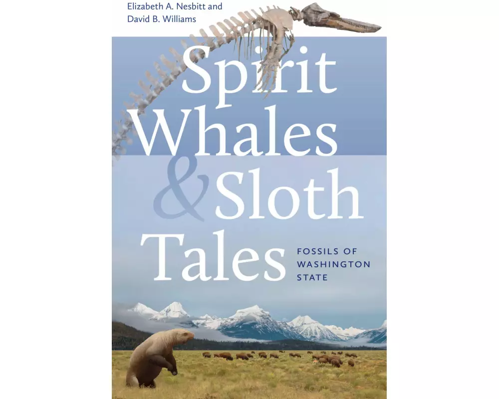 Spirit Whales and Sloth Tales