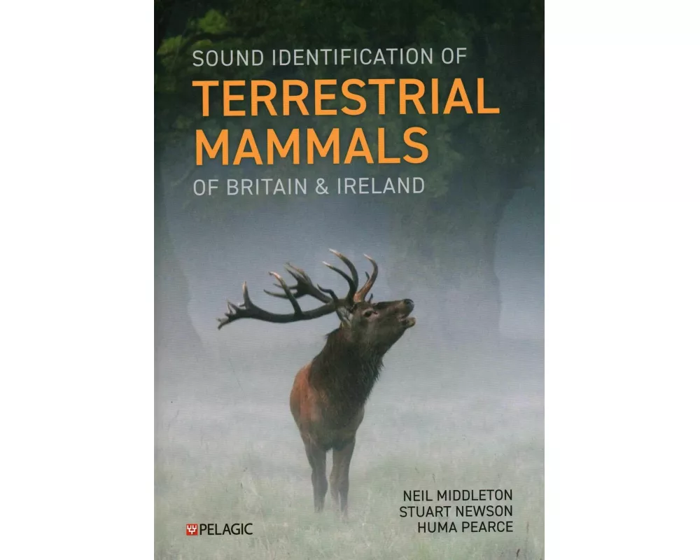 Sound Identification of Terrestrial Mammals of Britain & Ireland