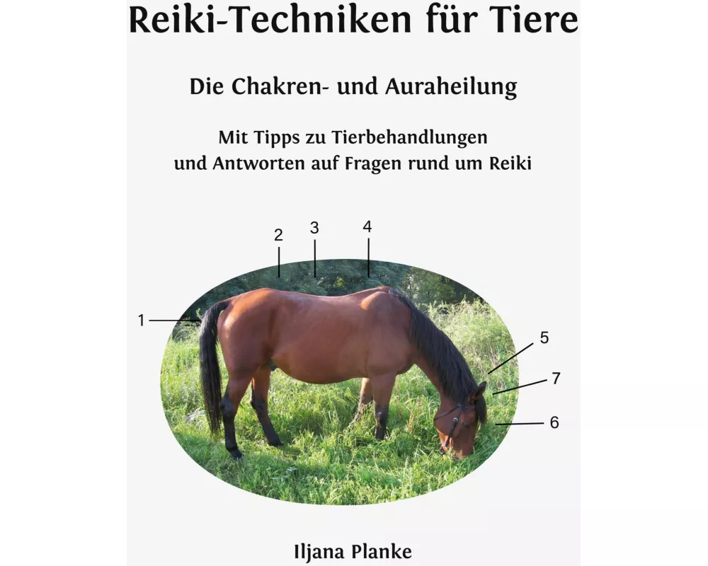 Reiki-Techniken für Tiere - Die Chakren- und Auraheilung