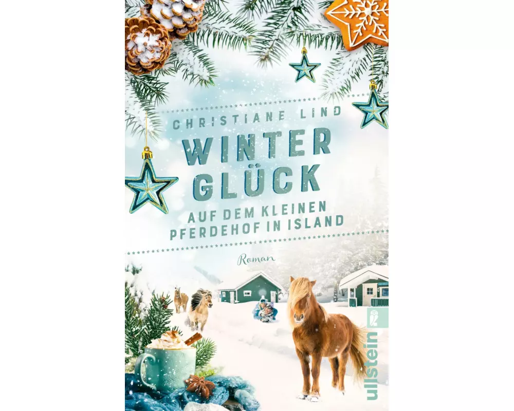 Winterglück auf dem kleinen Pferdehof in Island