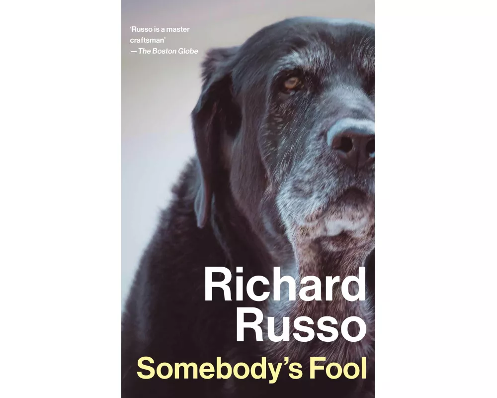 Somebody's Fool