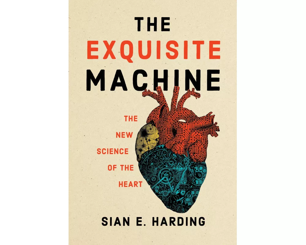 The Exquisite Machine