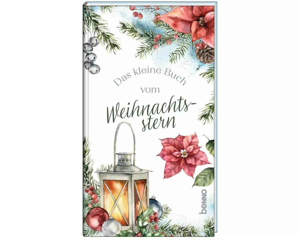 Das kleine Buch vom Weihnachtsstern