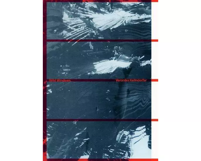 Veronika Kellndorfer: Wild Windows