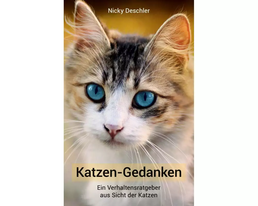 Katzen-Gedanken