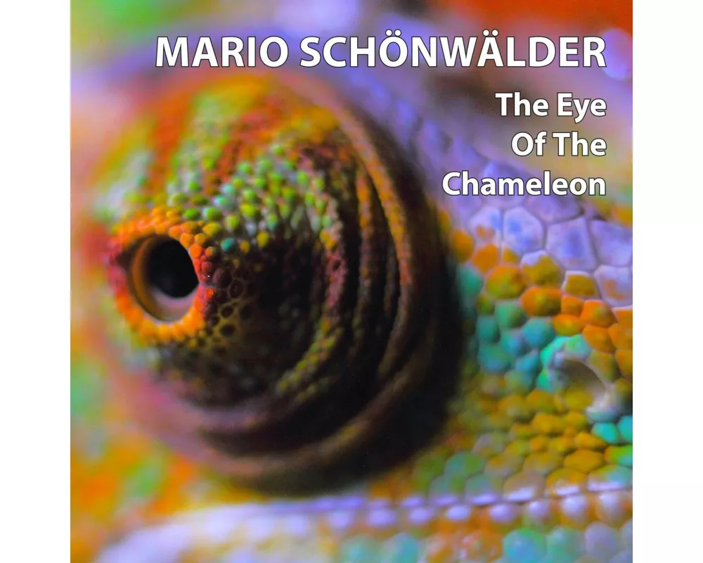 The Eye Of The Chameleon