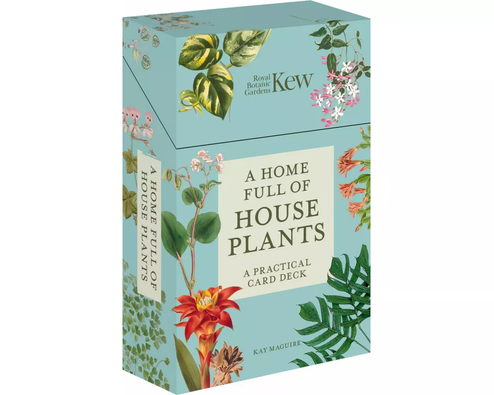 A Home Full of House Plants