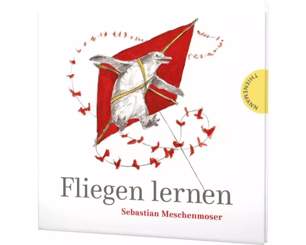 Fliegen lernen