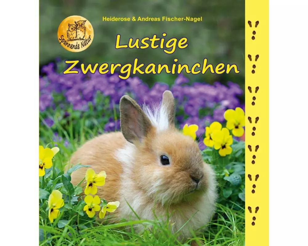 Lustige Zwergkaninchen
