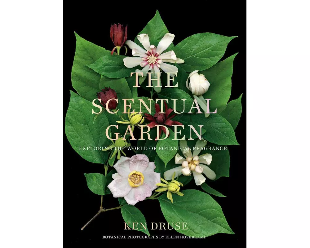 The Scentual Garden: Exploring the World of Botanical Fragrance