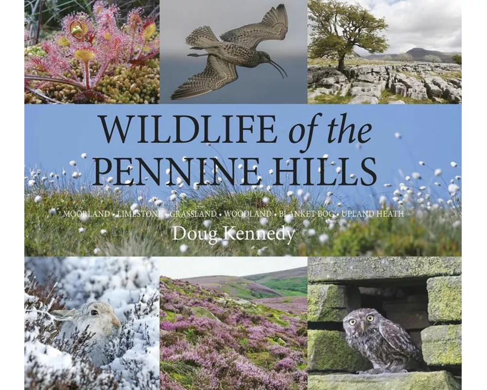 Wildlife of the Pennine Hills