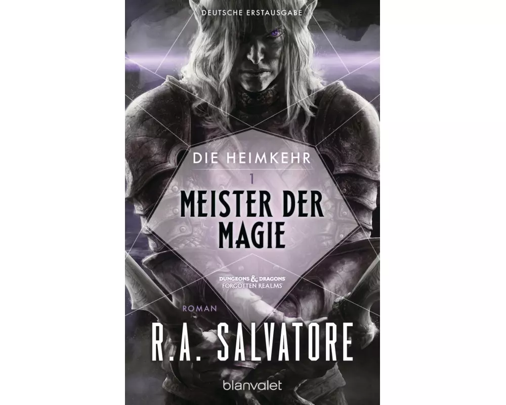 Die Heimkehr 1 - Meister der Magie
