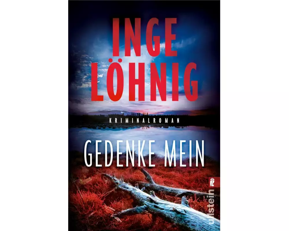 Gedenke mein (Ein Gina-Angelucci-Krimi 1)