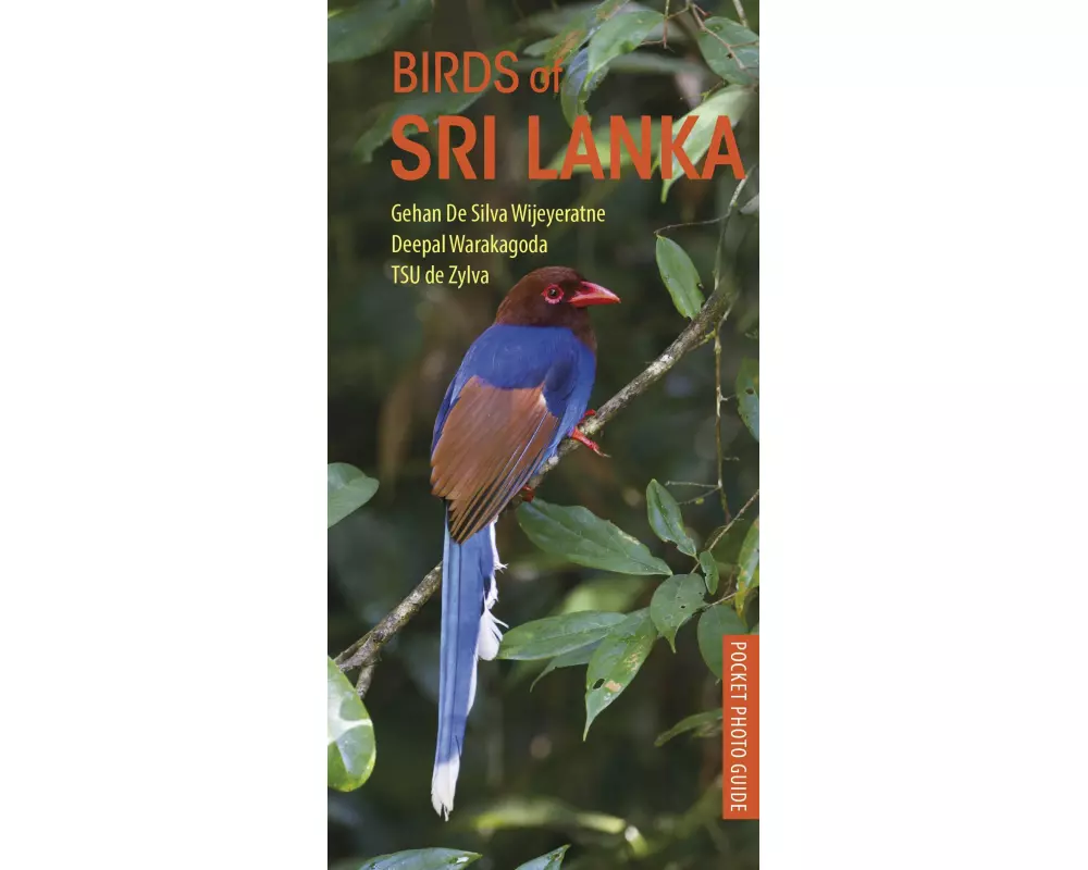 Birds Of Sri Lanka