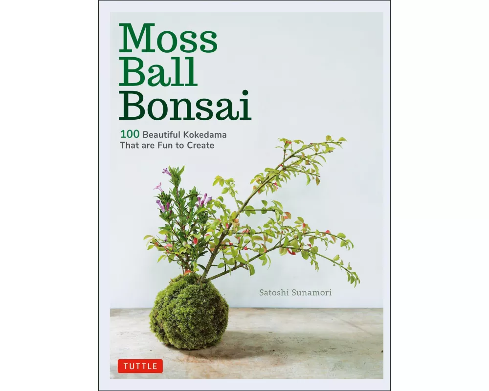 Moss Ball Bonsai
