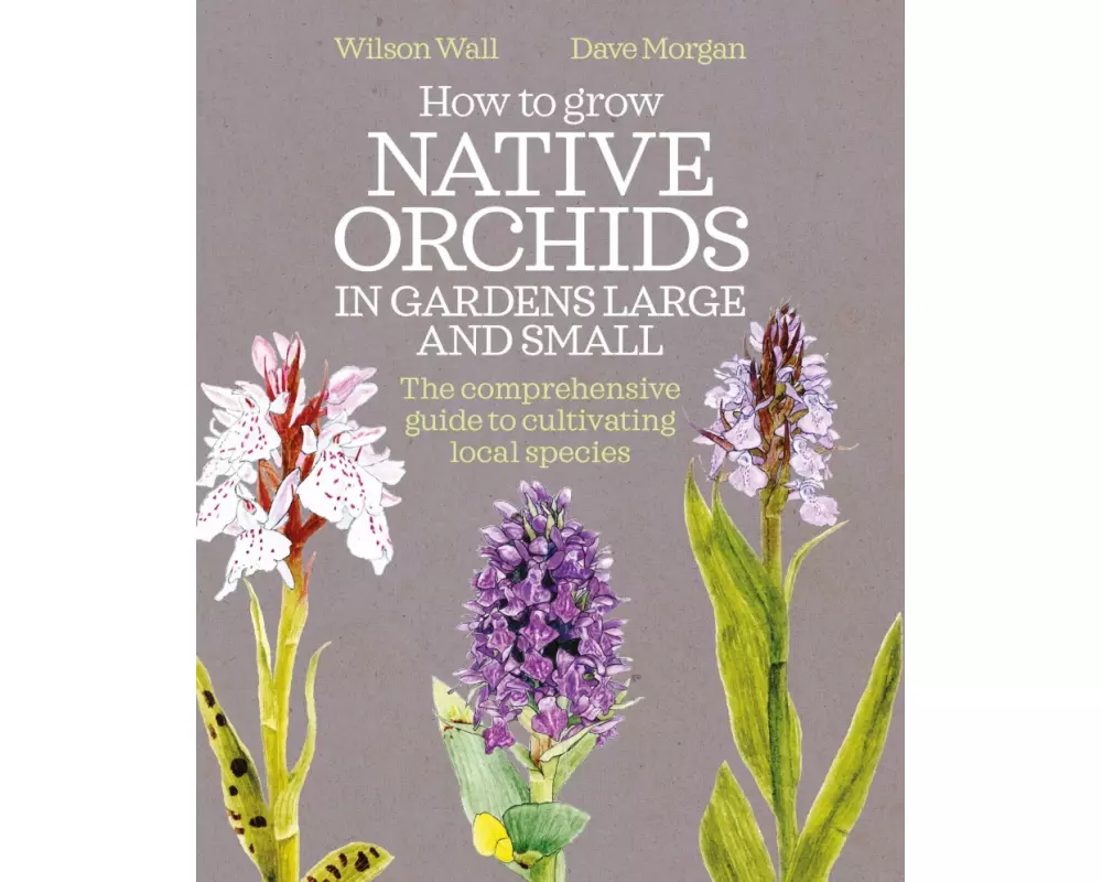 How to Grow Native Orchids in Gardens Large and Small: The Comprehensive Guide to Cultivating Local Species