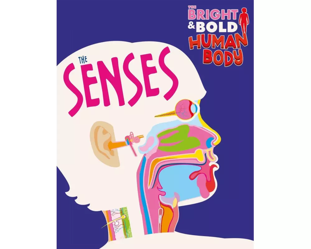The Bright and Bold Human Body: The Senses