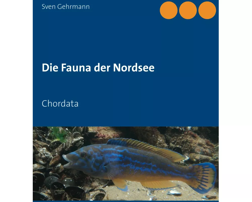 Die Fauna der Nordsee