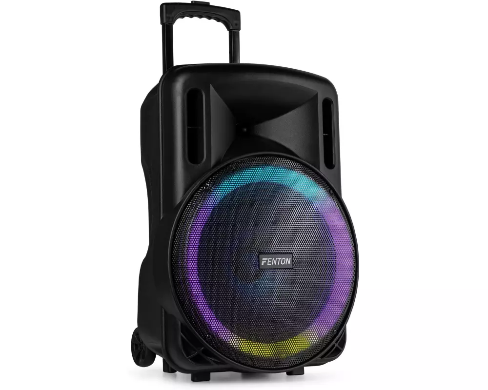 Fenton Lautsprecher FT15 lED MK2