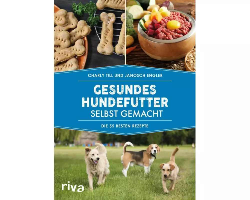 Gesundes Hundefutter selbst gemacht